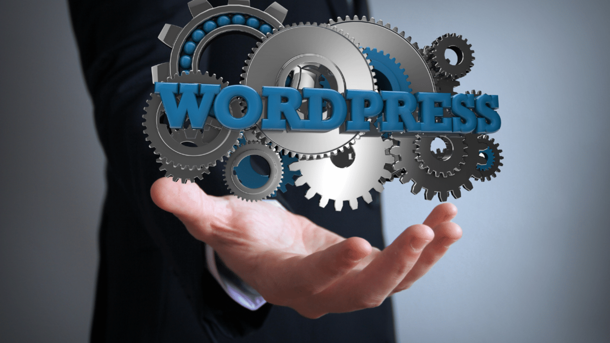 Wordpress 6.3